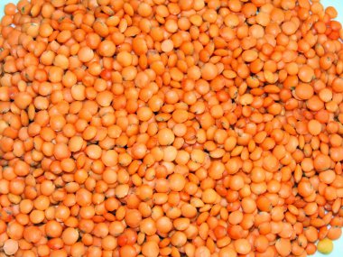 Kırmızı mercimekler yakın - yiyecek