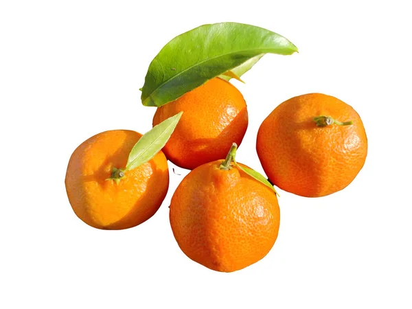 Clementinas Frutas Isoladas Sobre Fundo Branco — Fotografia de Stock