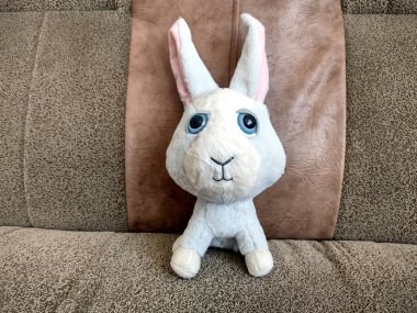 Kanepede pelüş tavşan