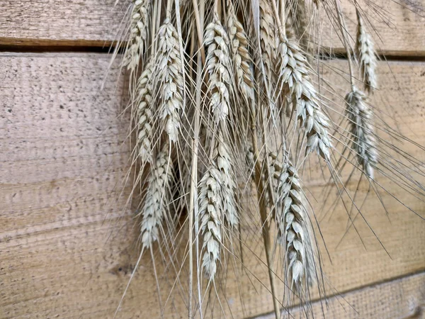 Espigas Trigo Sobre Fondo Madera —  Fotos de Stock