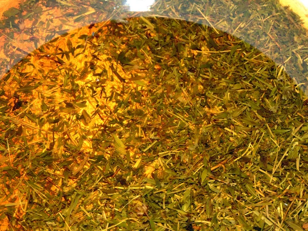 Thyme Tea Pot — Stock Photo, Image