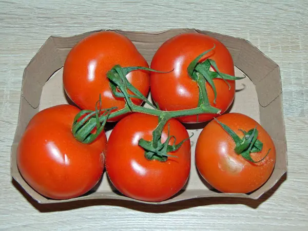 Tomates Biologiques Sur Fond Bois — Photo