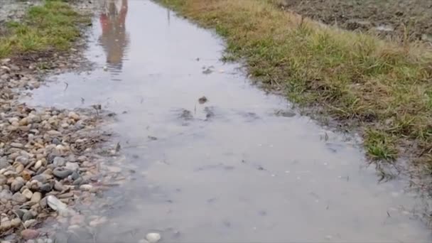 一个男孩骑自行车通过水 慢动作的车架 — 图库视频影像