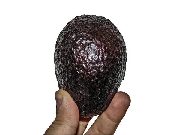 Een Persoon Houdt Een Avocado Tussen Zijn Vingers — Stockfoto