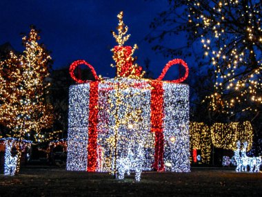 Romanya 'nın Baia Mare kentinde Noel süsleri