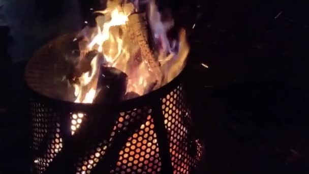 Holz Das Auf Dem Feuer Brennt — Stockvideo