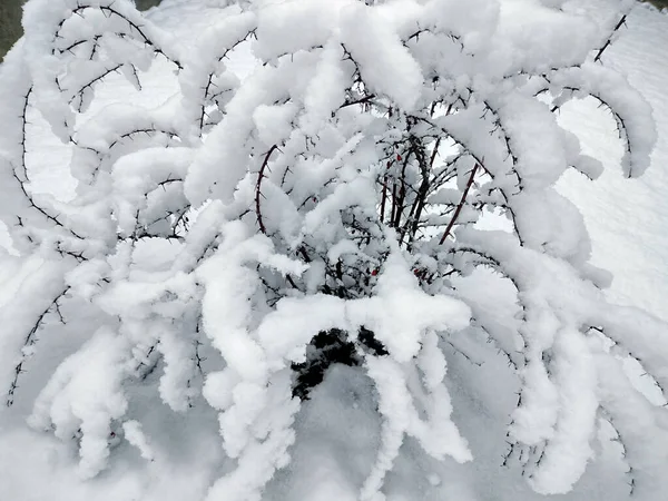 Sníh Zimě Maramures Rumunsko — Stock fotografie