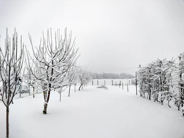 Winter Landscape Farcasa Village Romania — стокове фото
