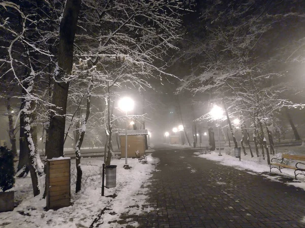 Зима Парке Город Байя Маре — стоковое фото