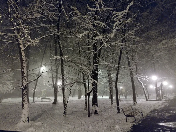 Зима Парке Город Байя Маре — стоковое фото