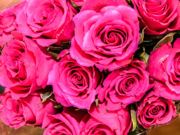 Bouquet Pink Roses Flowers — Foto Stock