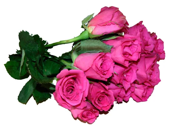 Μπουκέτο Ροζ Τριαντάφυλλα Που Απομονώνονται Λευκό Φόντο — Φωτογραφία Αρχείου