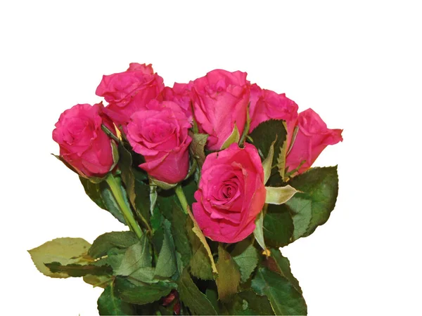 Strauß Rosa Rosen Isoliert Auf Weißem Hintergrund — Stockfoto