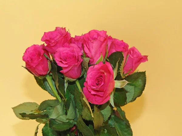 Bouquet Pink Roses Flowers — 图库照片