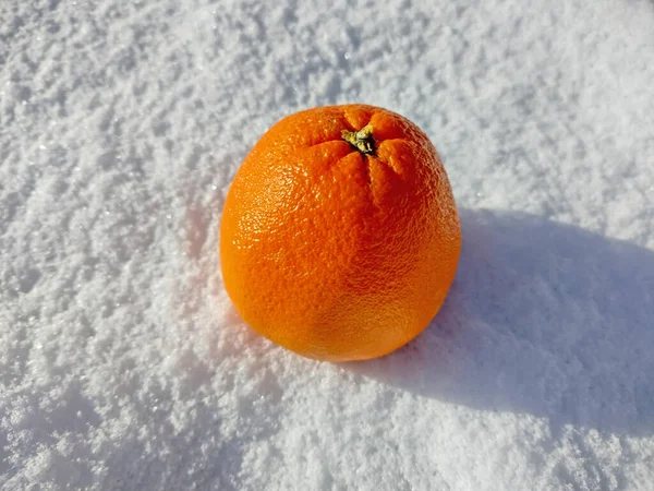 Orange Snow Fruit — Stockfoto