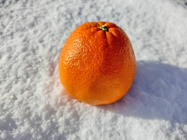 Orange Snow Fruit — Stockfoto