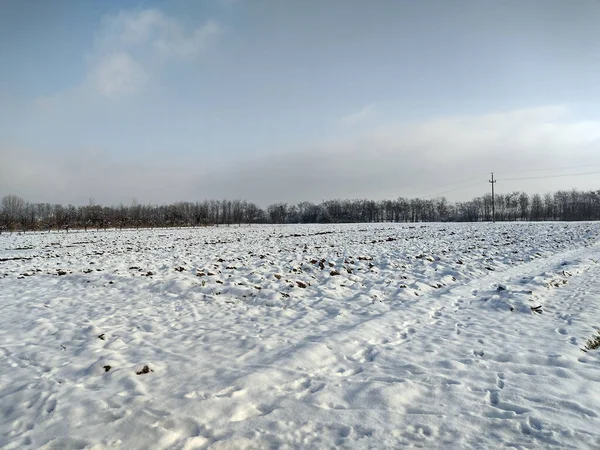 Зимний Пейзаж Округе Марамурес Румыния — стоковое фото