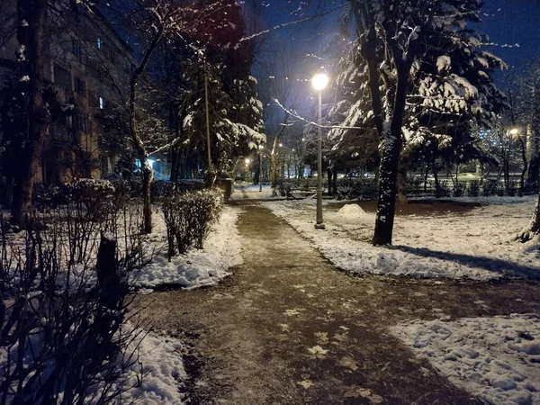 Winter Baia Mare City Night Scene — стоковое фото