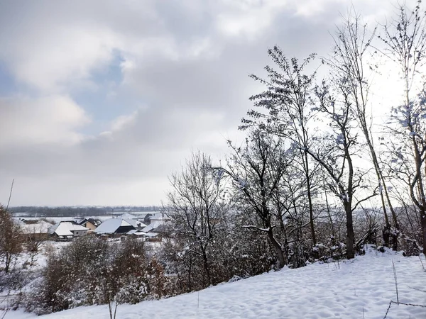 Зимовий Пейзаж Окрузі Марамур Румунія — стокове фото