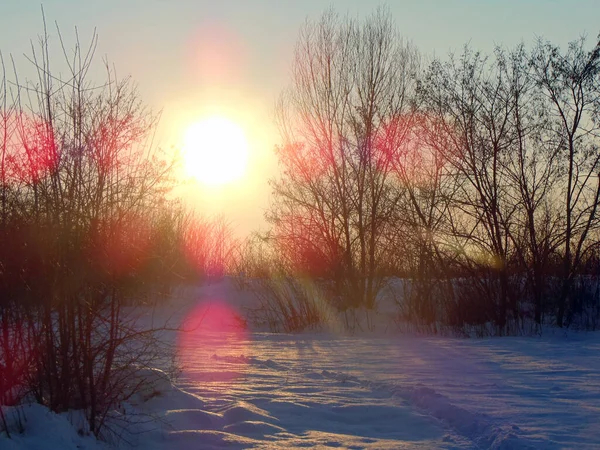 Güneş Kışın Gökyüzünde Manzara — Stok fotoğraf