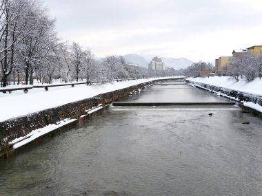 Romanya 'nın Baia Mare kentindeki Sasar Nehri - kış