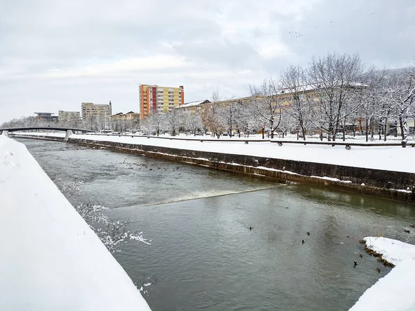 Река Сасар Городе Байя Маре Румыния Зима — стоковое фото