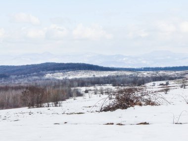 Romanya 'nın Maramures kentinde kış manzarası