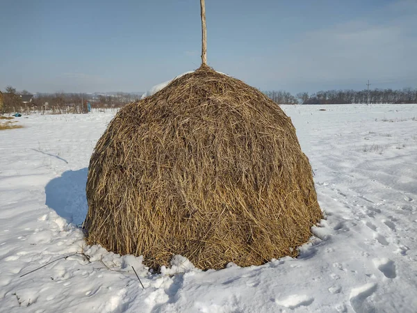 Pajar Invierno Maramures Rumania — Foto de Stock