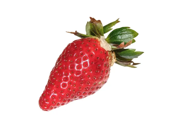 Erdbeere Isoliert Auf Weißem Hintergrund — Stockfoto