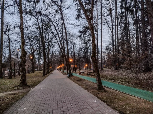 ルーマニアのバイア マーレ市の市立公園で3月の夜 — ストック写真