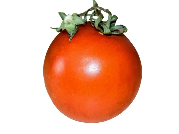 トマトは白い背景に隔離され — ストック写真