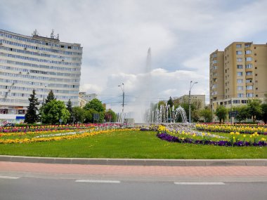 Romanya 'nın Baia Mare kentinde artezyen kuyusu ve çeşitli renklerde laleler