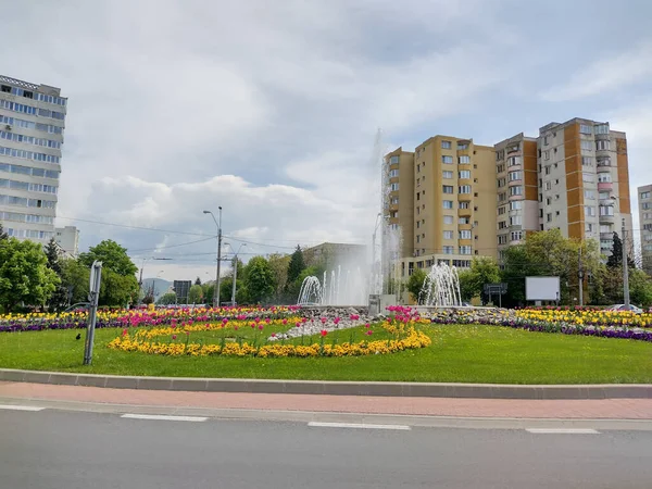 Artesian Well Tulips Various Colors Baia Mare City Romania — Fotografia de Stock