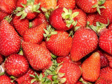 Çilek grubu - taze meyve