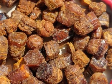 Bree ekmeği (pastura) - makro görünüm