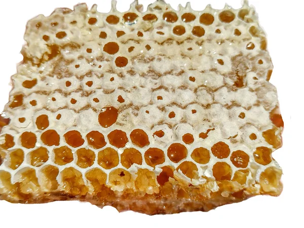 Honeycomb Raw Apiculture Macro View — стоковое фото