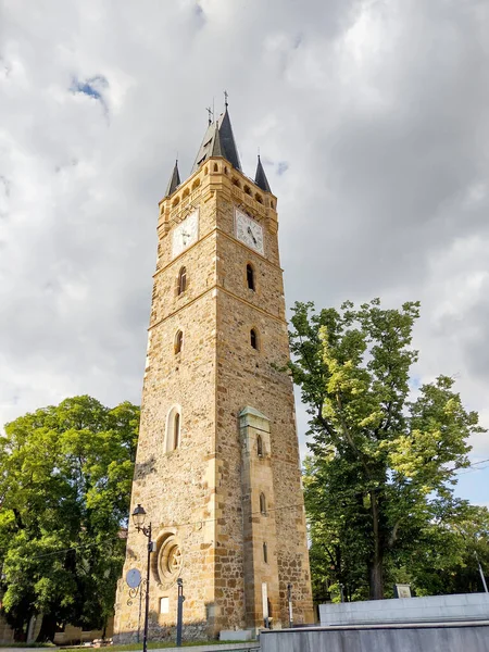Stephen Tower Turnul Stefan Baia Mare Roemenië — Stockfoto
