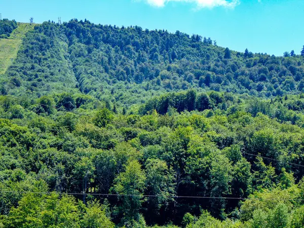 Widok Szczyt Mogosa Gór Gutai Maramures Rumunia — Zdjęcie stockowe