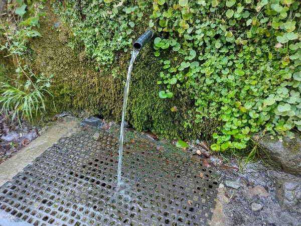 Sorgente Acqua Nella Contea Maramures Romania Estate — Foto Stock