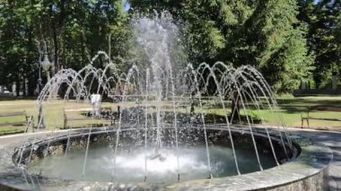 Oradea kenti Romanya 'daki Artesian çeşmesi