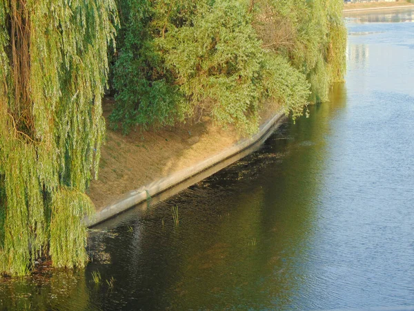 Crisul Rpede River Trees Oradea City Romania — Foto de Stock