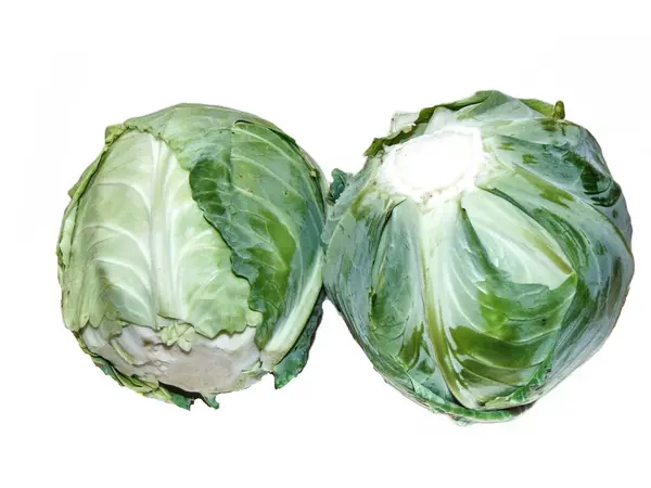 Two Pieces Fresh Cabbage Isolated White Background — Stock fotografie