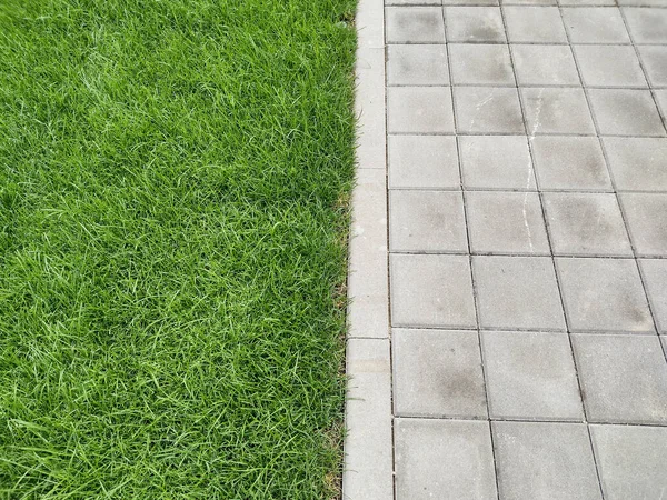 Lawn Sidewalk Outdoor Background — ストック写真