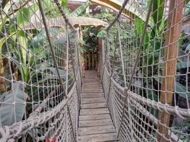 Wooden and rope bridge in a place with tropical plants and trees