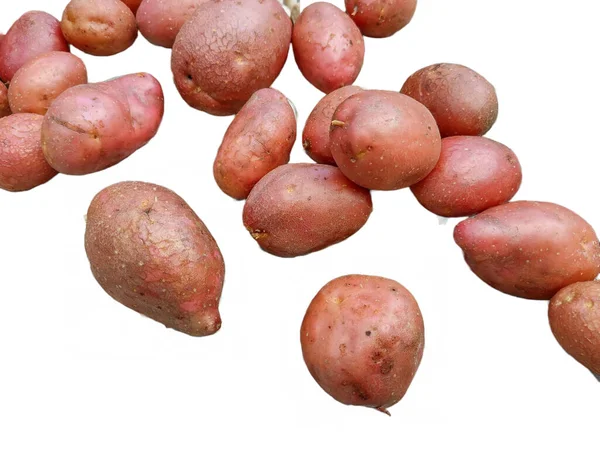 Aardappelen Geïsoleerd Witte Achtergrond — Stockfoto