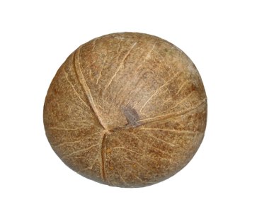 Hindistan cevizi beyaz arkaplanda izole edildi