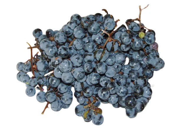 Romanya 'dan gelen olgun üzümler beyaza izole edilmiş