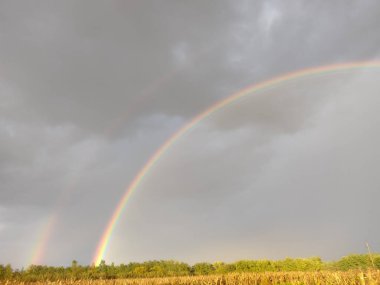 Romanya 'nın Maramures ilçesinde yağan yağmurdan sonra doğal gökkuşağı