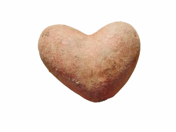 Hartvormige Aardappel Gevonden Maramures Roemenië Geïsoleerd Wit — Stockfoto