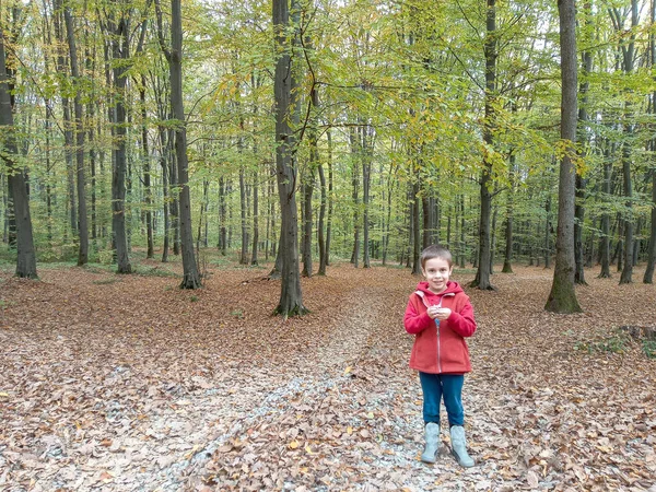 Niño Años Bosque Octubre Rumania —  Fotos de Stock